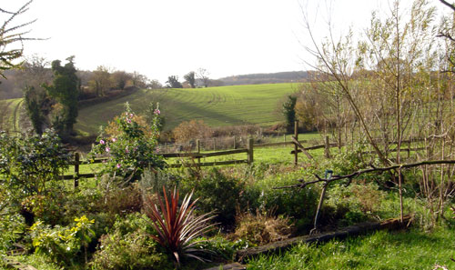 A picture of some scenery around the P Bowler And Sons workshops.